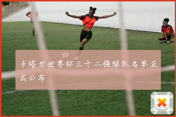 卡塔尔世界杯三十二强球队名单正式公布