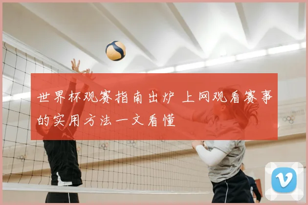 世界杯观赛指南出炉 上网观看赛事的实用方法一文看懂