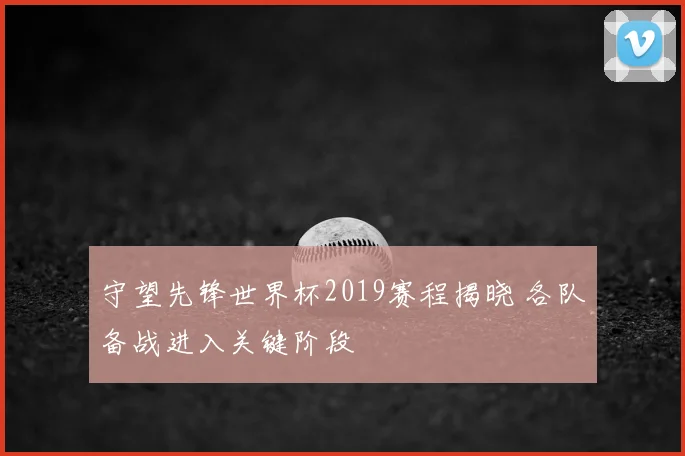 守望先锋世界杯2019赛程揭晓 各队备战进入关键阶段