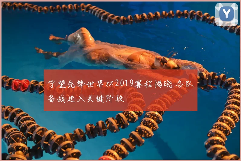 守望先锋世界杯2019赛程揭晓 各队备战进入关键阶段